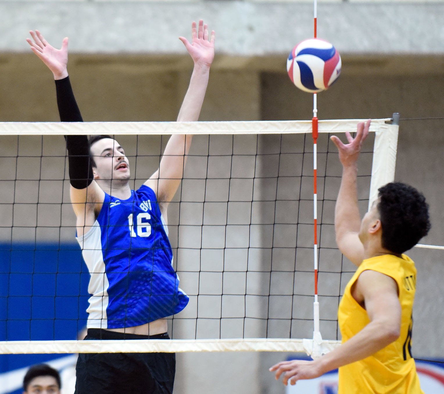 Volleyball Briar Cliff vs. Ottawa